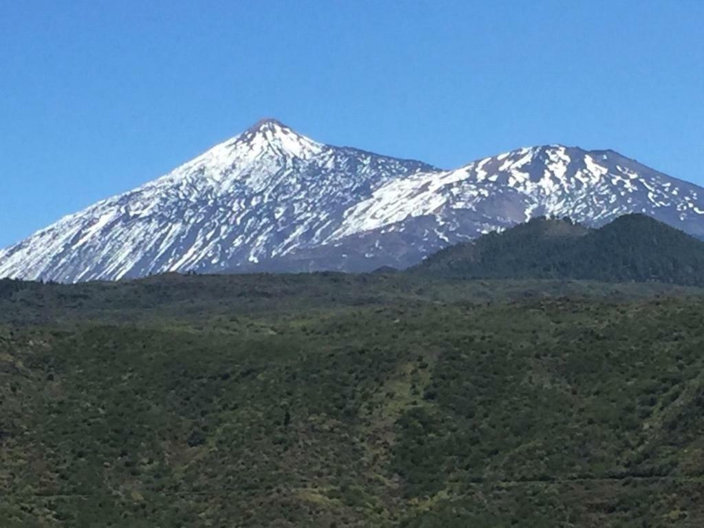 Laika Daire Los Cristianos  Dış mekan fotoğraf